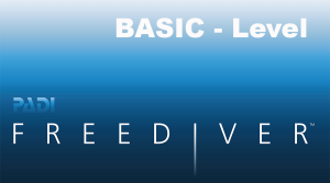 BASIC Freediver