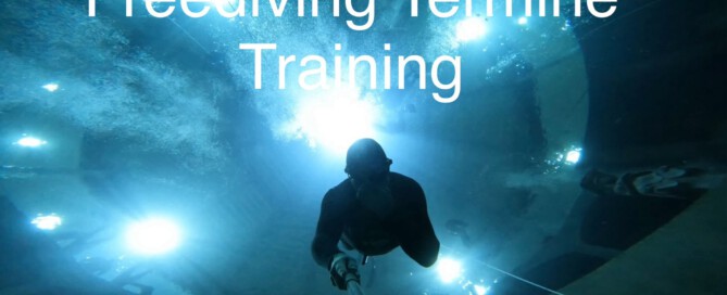 Freediving Training und Kurse